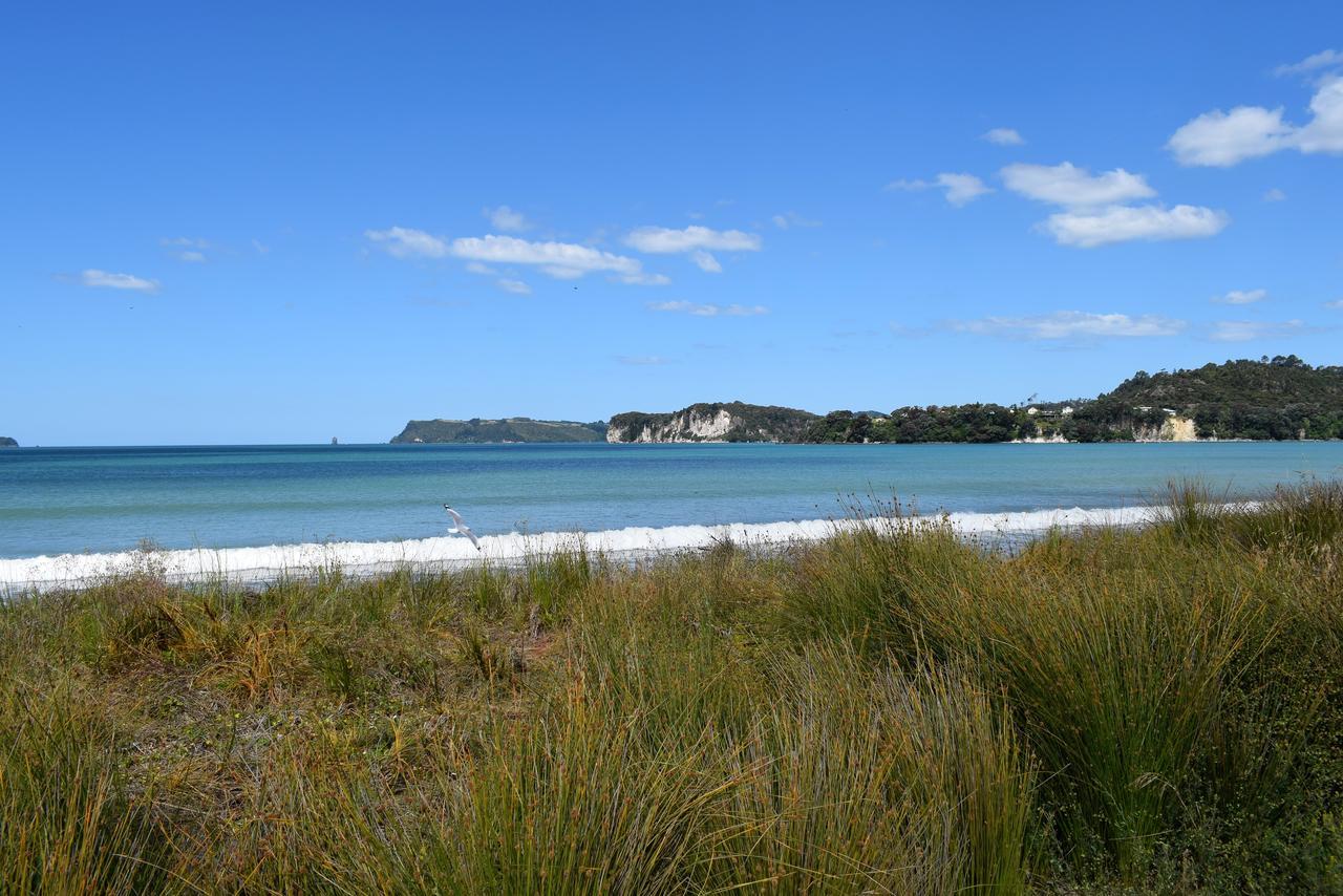 Paradise In Whitianga B&B Wells Place ภายนอก รูปภาพ